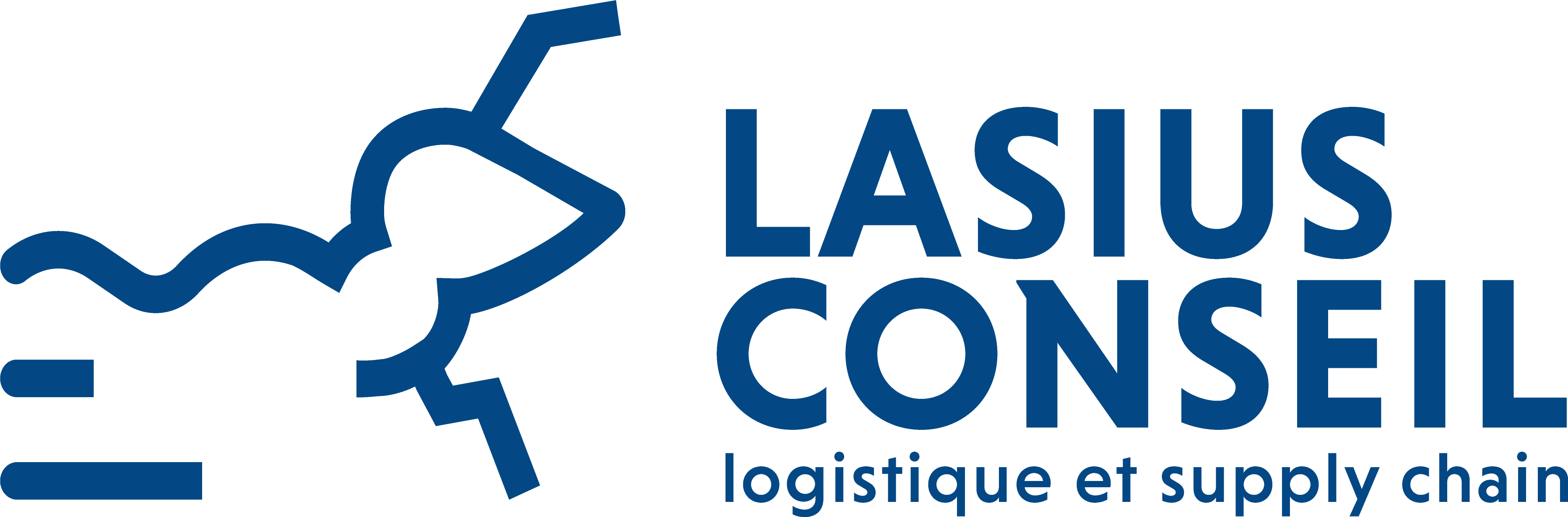 LASIUS CONSEIL
